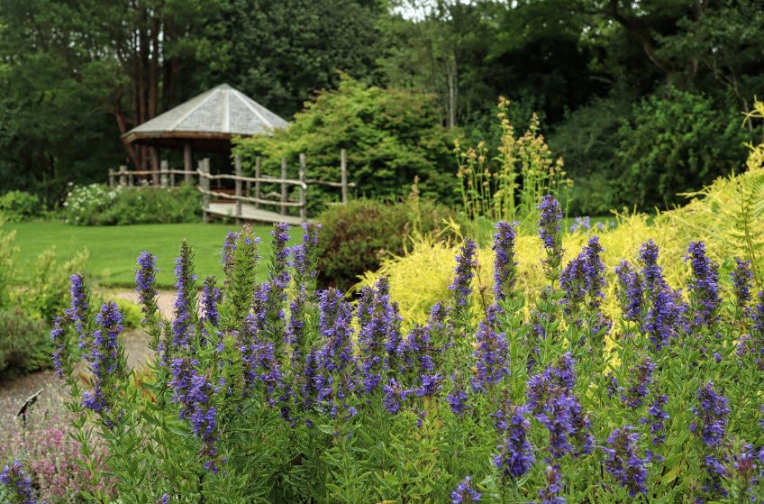 St Andrews Botanic Garden, United Kingdom